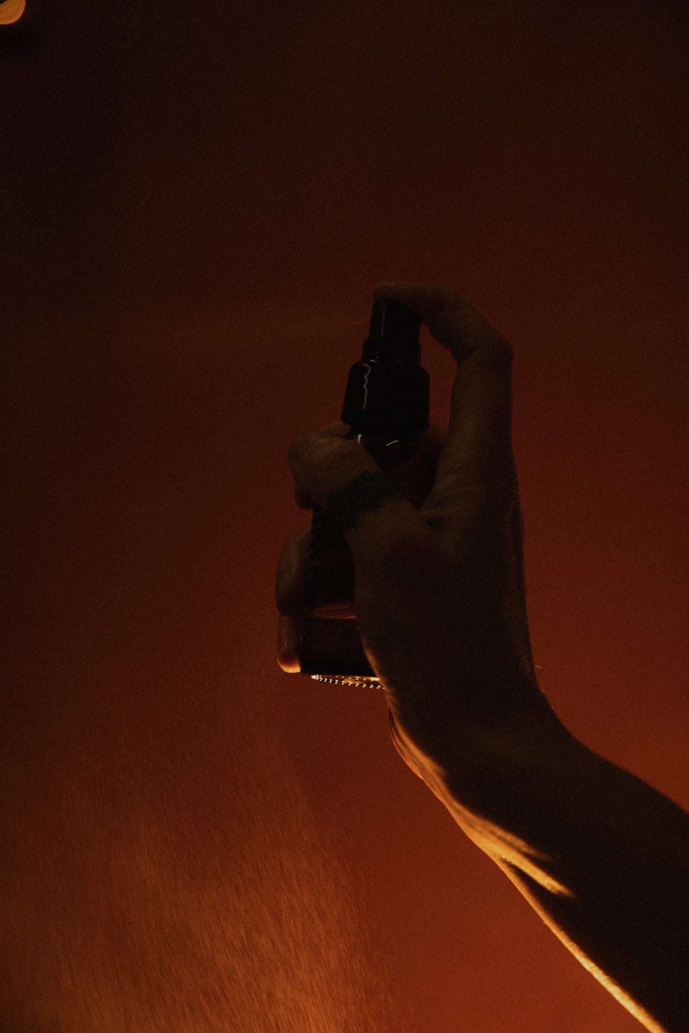 Moi Forest Forest Rain Face Mist 60ml